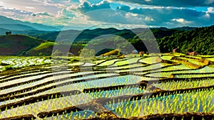 Time lapse, clouds moving over the rice fields reflected in the water