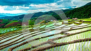 Time lapse, clouds moving over the rice fields reflected in the water