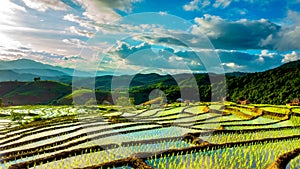 Time lapse, Clouds moving over the rice fields reflected in the water