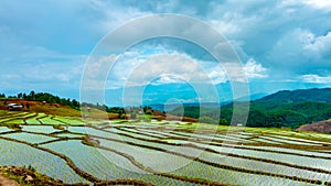 Time lapse, Clouds moving over the rice fields reflected in the water