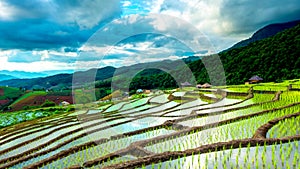 Time lapse, Clouds moving over the rice fields reflected in the water