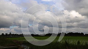 Time-lapse - clouds moving over the rice or paddy fields