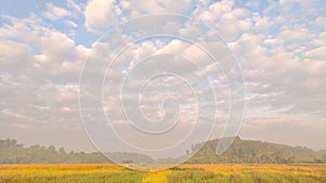 Time lapse clouds moving from the right to the left of the screen in rice field of Thailand