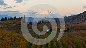 Time lapse of clouds over Mt. Adams and Pear Orchards in Hood River OR UHD 4k