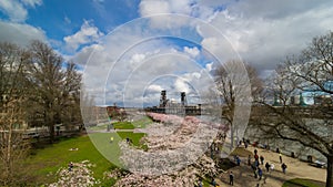 Time lapse of clouds over Portland OR downtown waterfront with Cherry Blossom trees springtime 4k