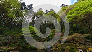 Time lapse of clouds over waterfall with lush green trees and plants in Portland Japanese Garden Spring season 4k