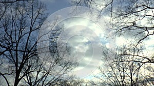 Time-Lapse Clouds with Trees