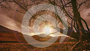 Time lapse of dead tree and dry yellow grass at mountian landscape with clouds and sun rays. Horizontal slider movement