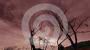 Time lapse of death tree and dry yellow grass at mountian landscape with clouds and sun rays. Horizontal slider movement