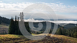 Time lapse at dunraven pass of morning fog and a copse of trees in yellowstone