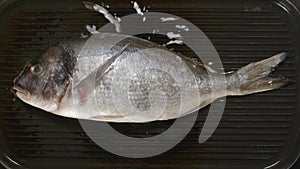 TIME-LAPSE: Frying Dorade fish on a pan (top view)