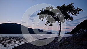 Time lapse of a lonely tree on the lakeside of Loch Ness, Caledonian Canal, Scottish Highlands, at