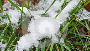 Time-Lapse of melting snow