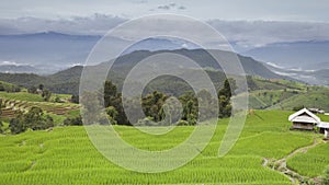 Time lapse  movement of sky cloudy over the mountain green field of local rice terrace