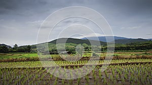 Time lapse  movement of sky cloudy over the mountain green field of local rice terrace