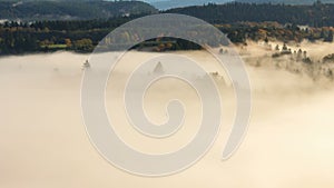 Time Lapse Movie of Blanket of Thick Rolling Fog Over Mount Hood National Forest and Sandy River in Colorful Autumn Season 1080p