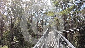 Time lapse POV of person walking on valley of the giants tree top walk