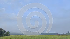 Time lapse rice fields with fast fog in the morning of Thailand