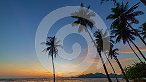 .time lapse stunning sky at sunrise in coconut trees.