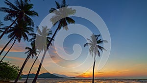 .time lapse stunning sky at sunrise in coconut trees..Wonderful view of colorful landscape during the sunrise.