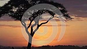 Time lapse Sunset in Amboseli Park