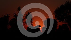 Time lapse view of beautiful bright sunset behind silhouette trees silhouette mountain ranges