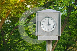 Time Management Concept : Clock tower in public park with green natural background.