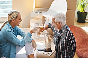 Time to create brand new memories. a happy mature couple toasting with wine on moving day.