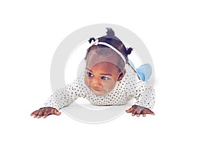 Time to explore...Studio shot of a baby girl crawling against a white background.