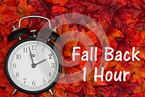 It is time to fall back message Daylight Savings