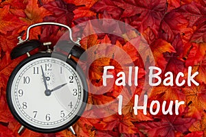 It is time to fall back message Daylight Savings photo