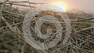 Time to harvest. Close up shot of stacked golden hay.