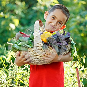 Time to harvest. Happy child in the vegetable garden with vegetables.