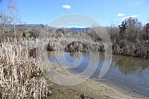 Time for a walk near the ponds in Kelowna, BC.