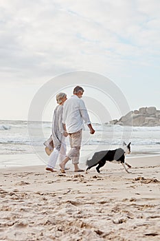 Time for walkies. Full length shot of an affectionate middle aged couple walking hand in hand with along the beach with