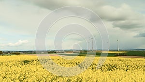 Timelapse - Canola fields and wind turbines