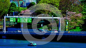 A timelapse of Chidorigafuchi pond with cherry trees in Tokyo in spring long shot zoom