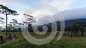 Timelapse, cloudscape after rain in wilderness meadow, Phu Soi Dao National Park, Uttaradit Province Thailand.