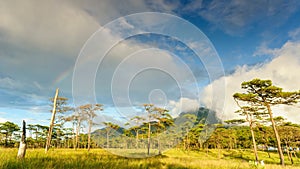 Timelapse, cloudscape and rainbow after rain in rainforest, Thailand.