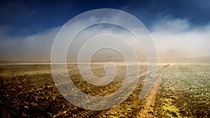 Timelapse fog over a field 1