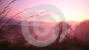 Timelapse of foggy sunrise on the Little Adam's Peak in Ella, Sri Lanka