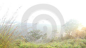 Timelapse of foggy sunrise on the Little Adam's Peak in Ella, Sri Lanka