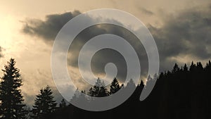 Timelapse footage of clouds moving above confers forest in mountains