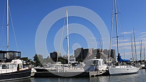 Timelapse of the marina in Oakville, Ontario 4K