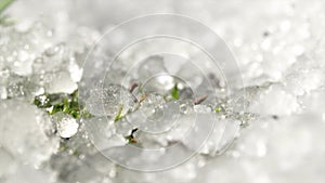 Timelapse, Melting snow visible green young grass in the spring month under the sun in the park. Spring melting ice on