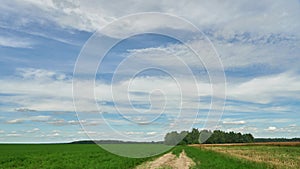 Timelapse the movement of clouds on a warm summer day over an agricultural field and forest.