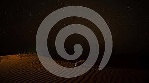 Timelapse rotation, falling stars , around a skull lying on a dune in the desert