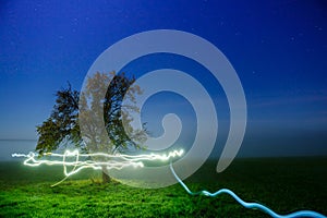 Timelapse shot of beautiful lights and a tree in a green land under a starry sky