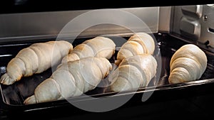 Timelapse - six homemade croissants baking and rising in electric oven at home