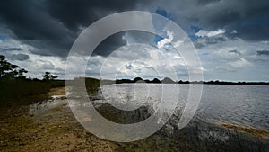 Timelapse of storm clouds over Sweet Bay Pond in Everglades National Park 4K.